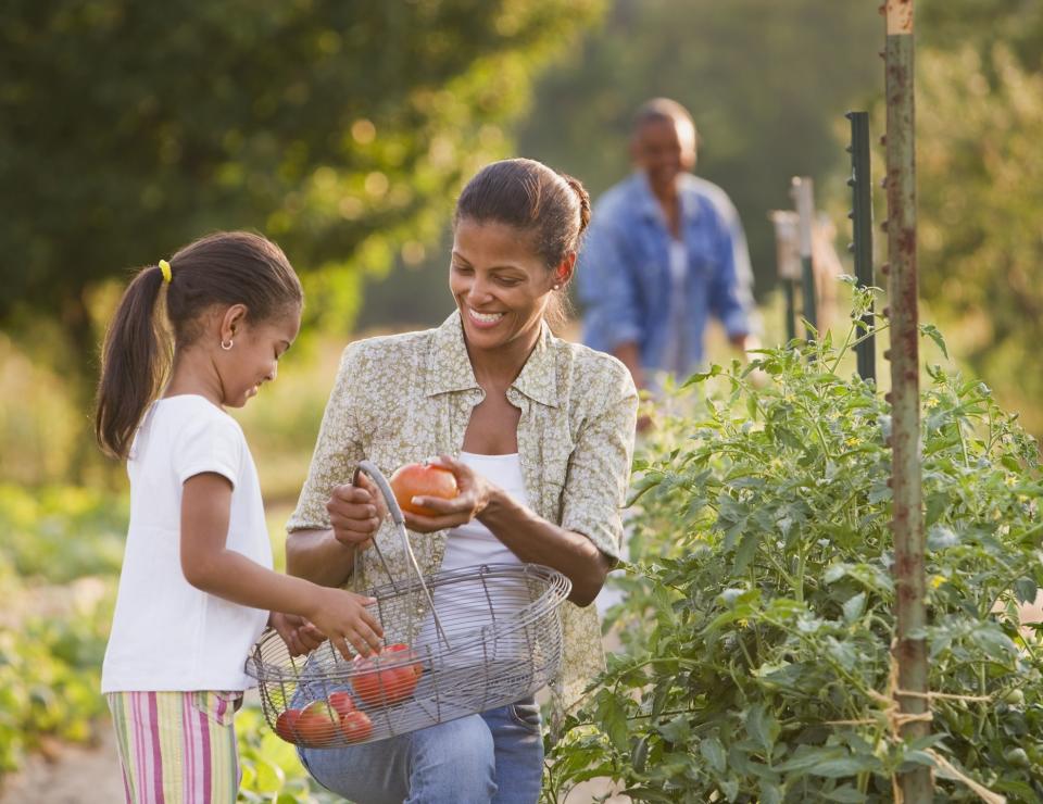 These Are the Best Plants for Kids That Are Easy and Safe to Grow