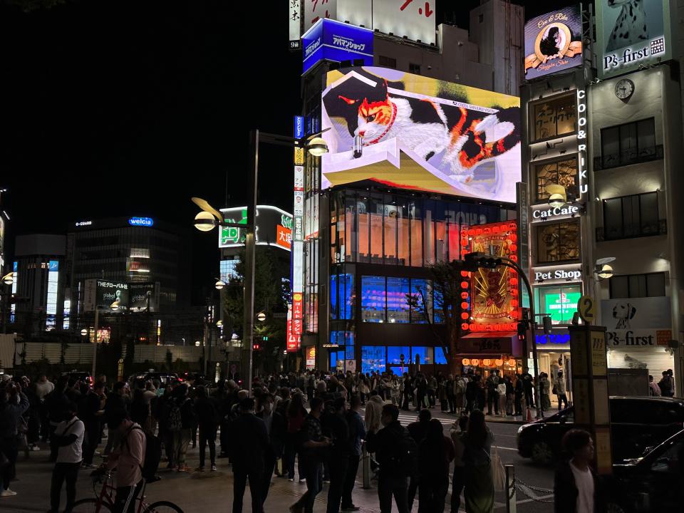 新宿車站東口旁的3D廣告螢幕，招牌吉祥物三花貓每隔一段時間就會出來見客，吸引遊客搶拍。