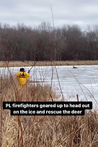 <p>city of priorlake</p> deer stuck on Pike Lake