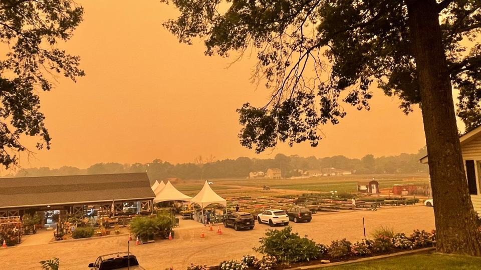 A yellow haze engulfed North Jersey on June 7, 2023, a result of the wildfires burning in Canada. Here is the Farm View Stand on Jackson Avenue in Wayne.