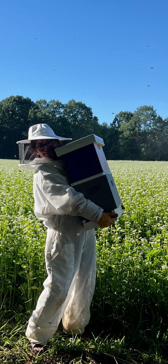 Brittany Edwards collecting honey from Brown Bear Honey hives.