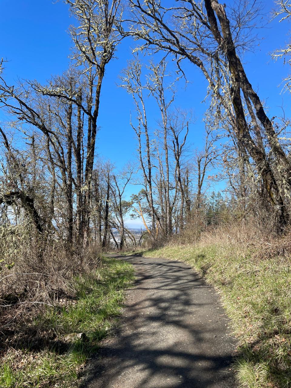 Hiking Wild Iris Ridge Trail to Bailey View Drive.