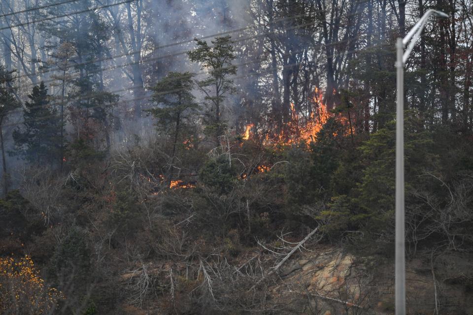 A forest fire rages Nov. 17 near Fountain City homes. Mark Wilbanks, Knoxville’s assistant fire chief, said the 3 acre fire was set deliberately.