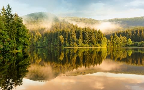 Harz Mountains in Germany - Credit: istock