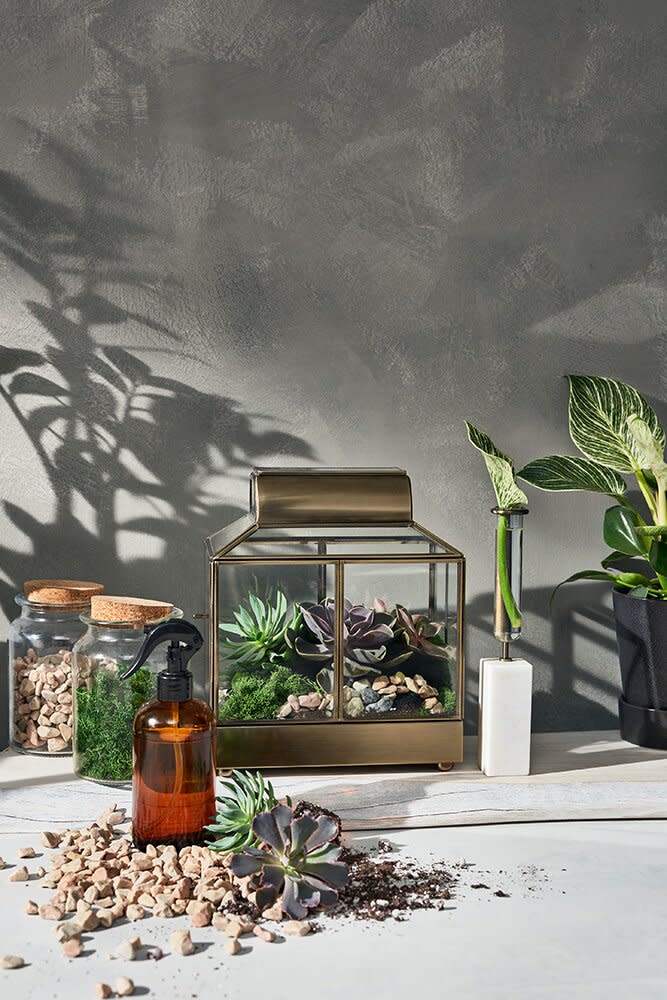 hilton carter x target terrarium and accessories