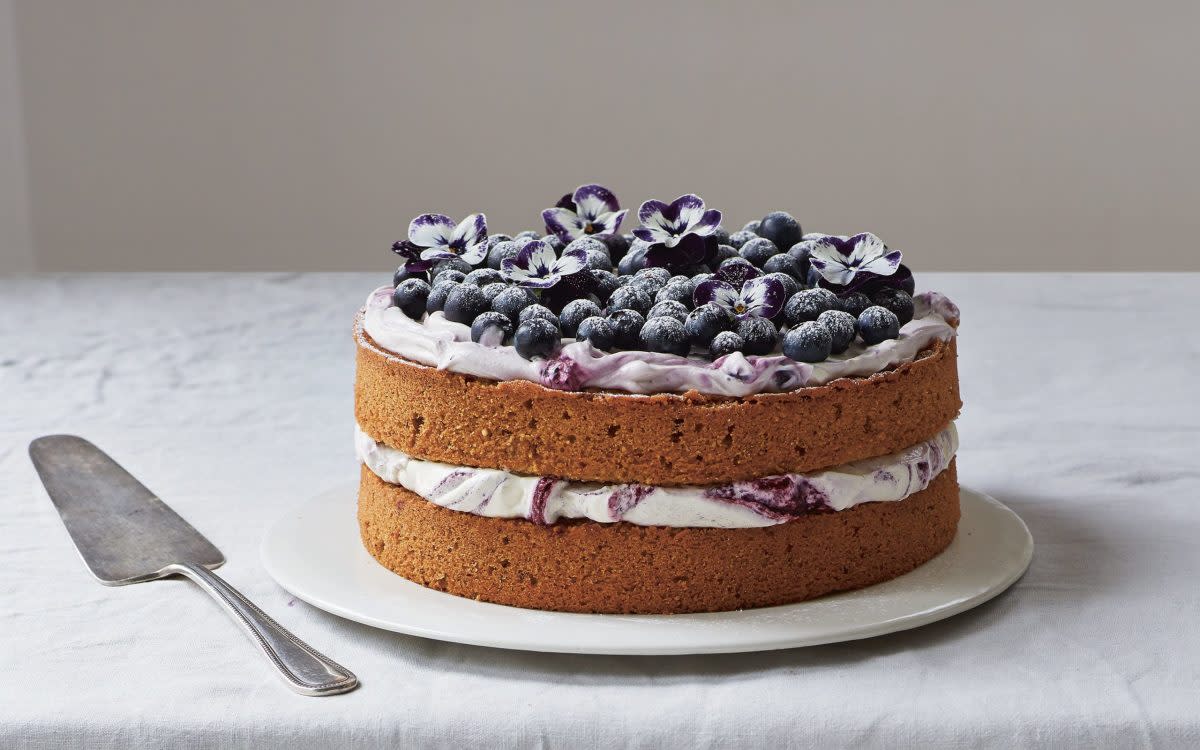 <p>Ali Allen</p><p>In this naturally sweetened cake, cream berries and nuts are incorporated into one delicious cake.</p><p><strong>Get the recipe: <a href="https://parade.com/277651/parade/a-naturally-sweetened-lemony-hazelnut-blueberry-cake/" rel="nofollow noopener" target="_blank" data-ylk="slk:Naturally Sweetened Lemony Hazelnut Blueberry Cake;elm:context_link;itc:0;sec:content-canvas" class="link rapid-noclick-resp">Naturally Sweetened Lemony Hazelnut Blueberry Cake</a></strong></p>