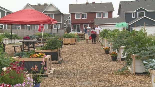 This is the urban farm in Auburn Bay, a community in southeast Calgary. (Helen Pike/CBC - image credit)