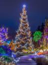 <p>Check your town's newspaper or website to find a list of local holiday happenings. You might be able to visit an outdoor Christmas tree or holiday market, or some other socially distanced outdoor event. </p>