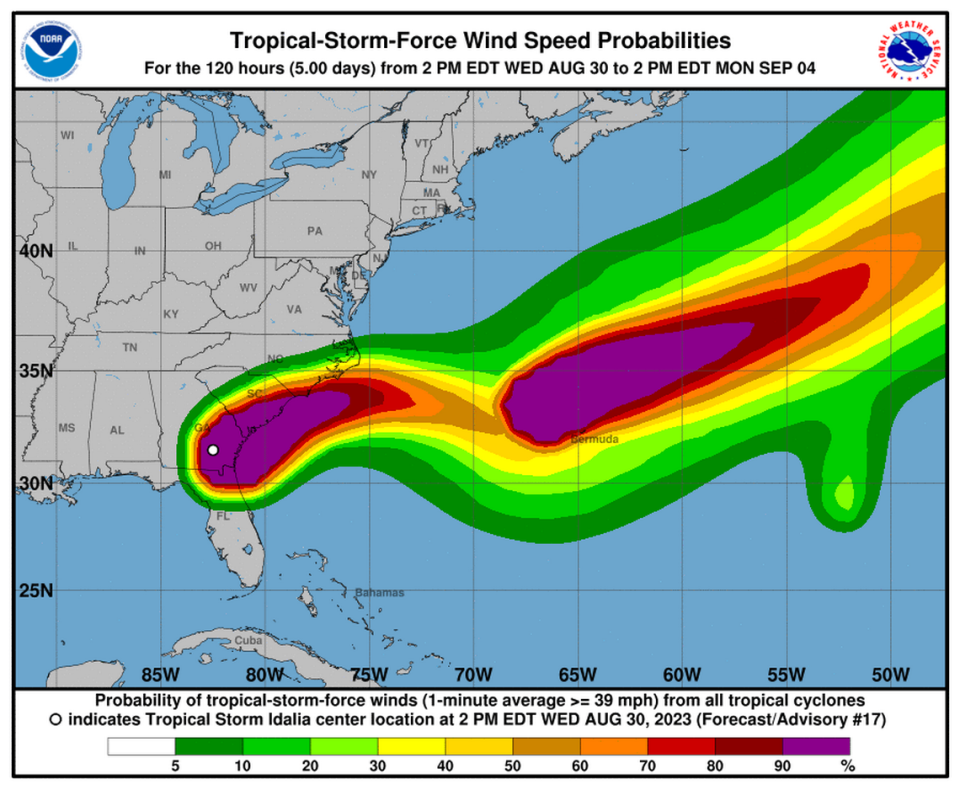 Northern Florida is feeling Tropical Storm Idalia’s strong winds.