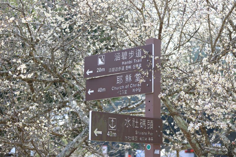 山林滿開的梅花帶著淡雅清香如同雪片般飄落的景緻，是日月潭一年四季中冬日限定唯美浪漫的景色。。（圖／飯店旅宿業者提供）