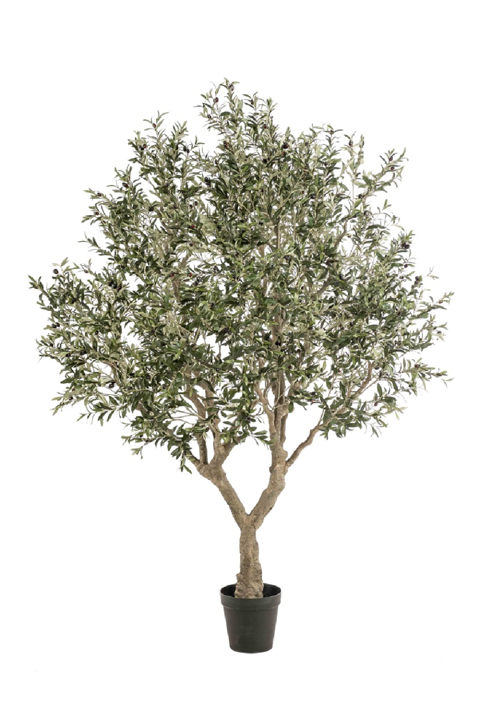 <p><a href="https://go.redirectingat.com?id=74968X1596630&url=https%3A%2F%2Foroa.com%2Fproducts%2Ffaux-mediterranean-evergreen-tree-emerald-olive&sref=https%3A%2F%2Fwww.elledecor.com%2Fdesign-decorate%2Fg60399178%2Fbest-faux-olive-trees%2F" rel="nofollow noopener" target="_blank" data-ylk="slk:Shop Now;elm:context_link;itc:0;sec:content-canvas" class="link ">Shop Now</a></p><p>Faux Mediterranean Evergreen Tree </p><p>Oroa</p><p>$2095.00</p>