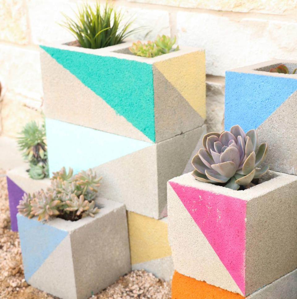 best backyard decor succulent bench