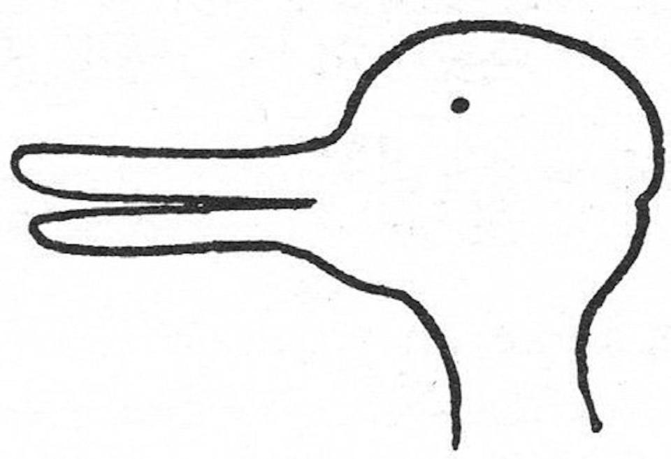 illustration that can be interpreted as either a duck or a rabbit