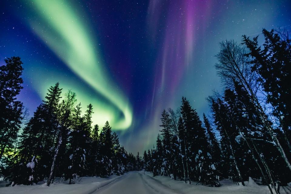 Search for the colourful waltz of the Aurora Borealis in Finland (Getty Images/iStockphoto)