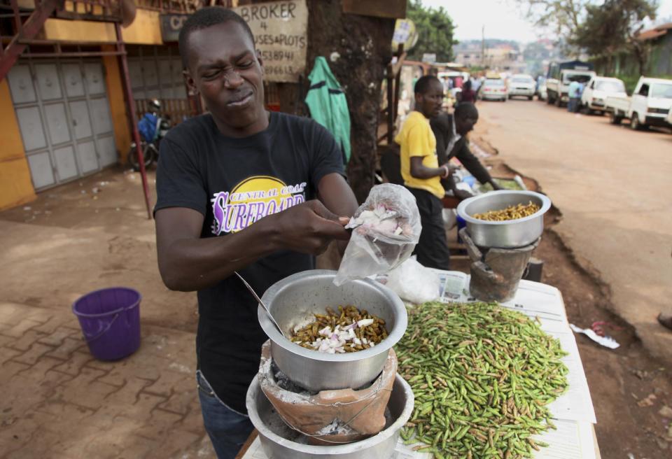 Patrick Magezi vierte cebolla picada a una olla con saltamontes fritos, el 25 de noviembre de 2016, en Kamwokya, un distrito de la capital de Uganda. Los “nsenene”, como los ugandeses llaman a estos verdes insectos saltarines, son una delicia buscada por muchos en este país en esta época del año, cuando millones de insectos nacen con la temporada de lluvias. (AP Foto/Stephen Wandera)