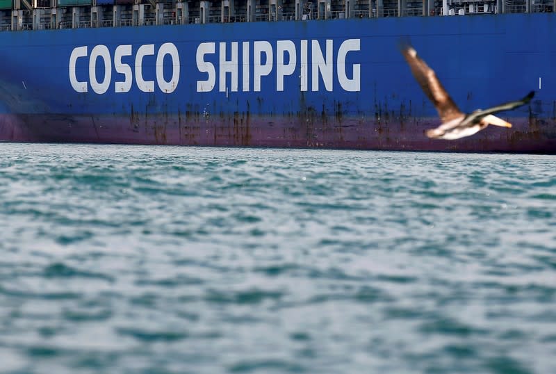 FILE PHOTO: A bird flies by a China Ocean Shipping Company (COSCO) container ship at the San Antonio port in Chile