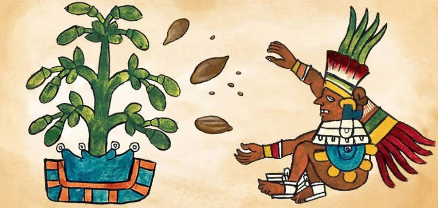 En la América precolombina, el cacao era utilizado como moneda y a su bebida se le atribuían muchas propiedades.