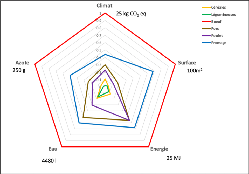 Comparaisons relatives de la consommation de ressources (surface, énergie et eau) et d’impacts sur l’environnement (émissions de gaz à effet de serre, pertes d’azote) pour les principales sources de protéines ; valeurs (m², mégajoule, litres d’eau, g d’azote et kg de CO₂) pour 100g de protéines dans le cas de la viande bœuf issue de troupeaux spécialisés pour la viande. <a href="https://www.sciencedirect.com/science/article/abs/pii/S030691921100090X" rel="nofollow noopener" target="_blank" data-ylk="slk:Auteurs à partir de données des études citées ci-dessus;elm:context_link;itc:0;sec:content-canvas" class="link ">Auteurs à partir de données des études citées ci-dessus</a>