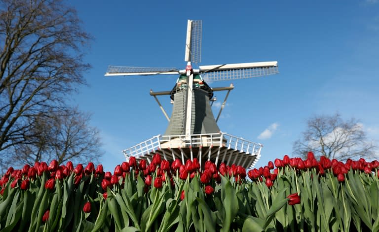 Go back to the windmills and tulips, the Italian press said, mocking the Dutch minister's use of tired old stereotypes