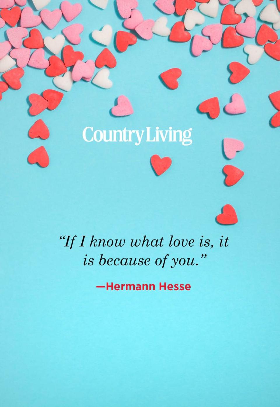 9) Hermann Hesse