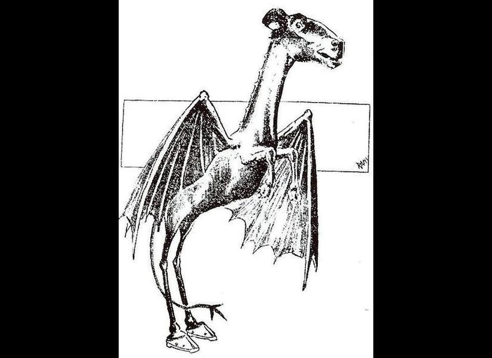 An artist's rendition of the Jersey Devil, based on eyewitness reports of a creature said to roam the Pine Barrens area of New Jersey.