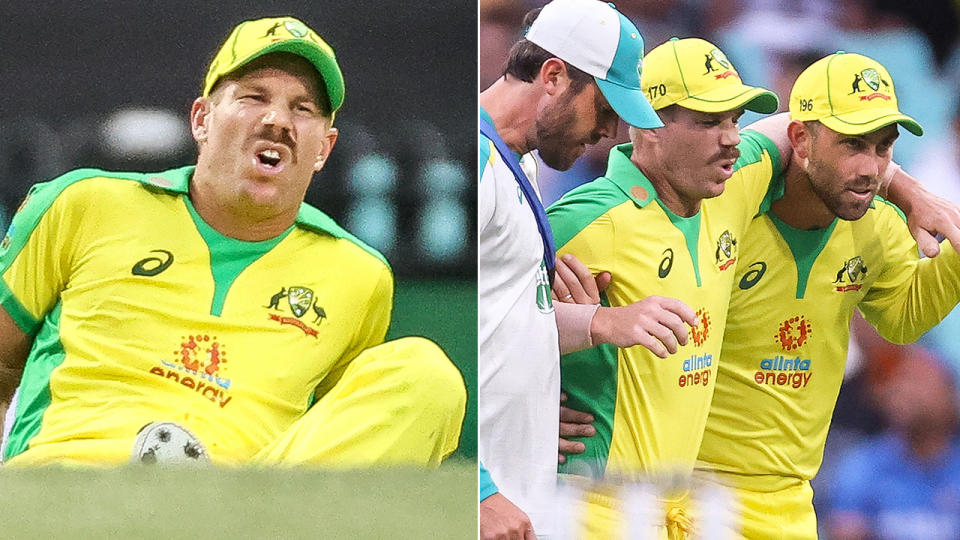 David Warner can be seen in visible pain after injuring his groin against India.