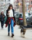 <p>The 50 Shades of Grey actress was seen walking her dog Zeppelin in New York City in 2015.</p>