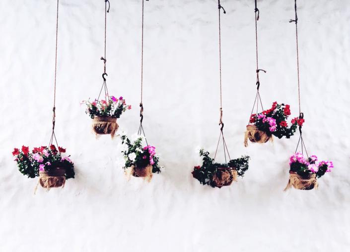 <p>No matter the size of your space, hanging colorful blooms adds so much visual appeal. Pro tip: For guests or a special occasion, supplement the look with extra stems from a store-bought bouquet.</p>