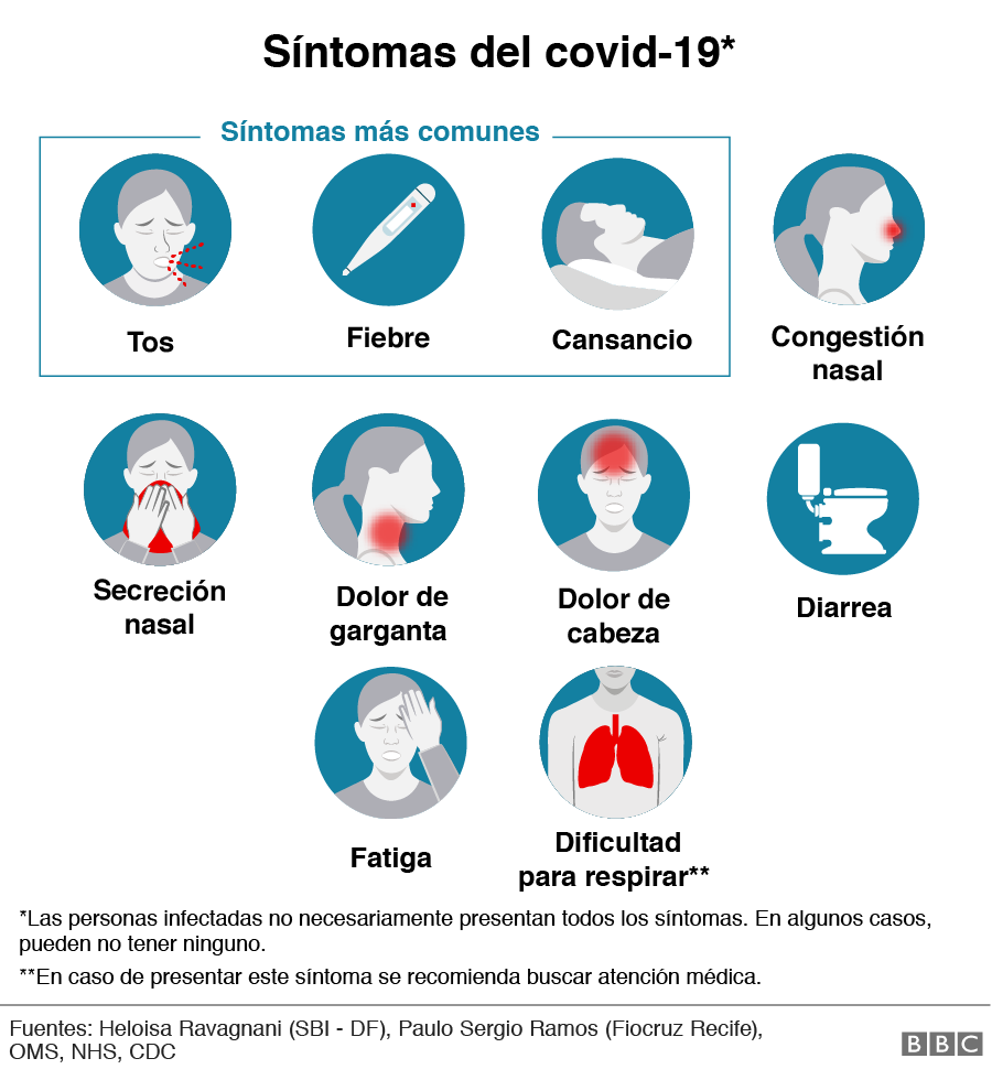 Una ilustración de cómo ingresa el coronavirus al organismo