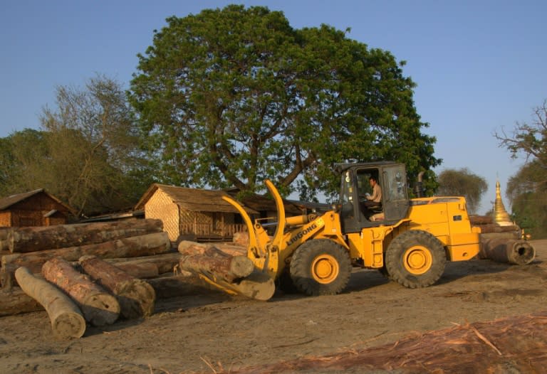 Myanmar has sentenced an unspecified number of Chinese nationals to more than a decade in jail for illegal logging, China's state media reports