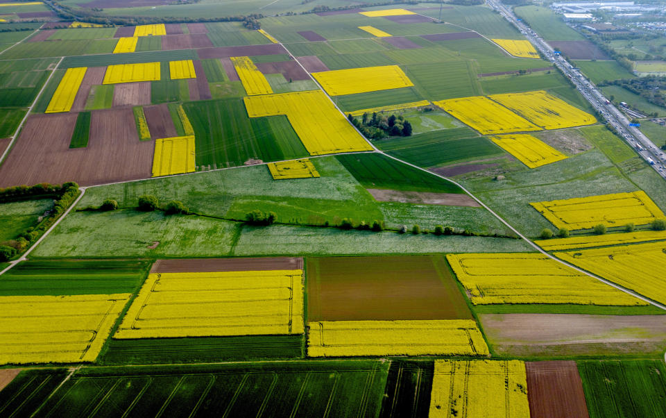 An aerial view of rape fields in full bloom on the outskirts of Frankfurt, Germany, April 18, 2024. (AP Photo/Michael Probst, File)