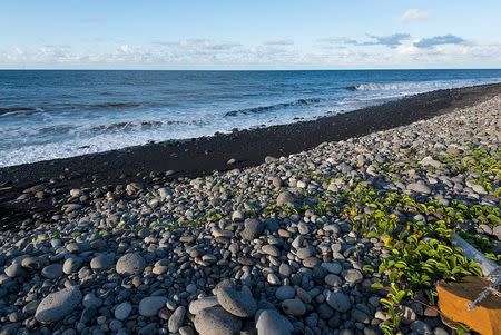 General view of the beach where a large piece of plane debris was found on Wednesday in Saint-Andre, on the French Indian Ocean island of La Reunion, July 30, 2015. REUTERS/Zinfos974/Stringer