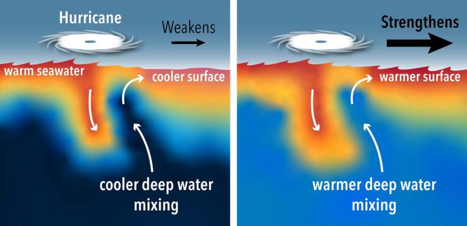 隨著地球升溫，深海的水溫也在上升，原本可以減弱颶颱風強度的冷海水現在也變暖了，這使得颱風得以獲得更多的能量並變得更強。（圖／ Natalie Renier, © Woods Hole Oceanographic Institution）