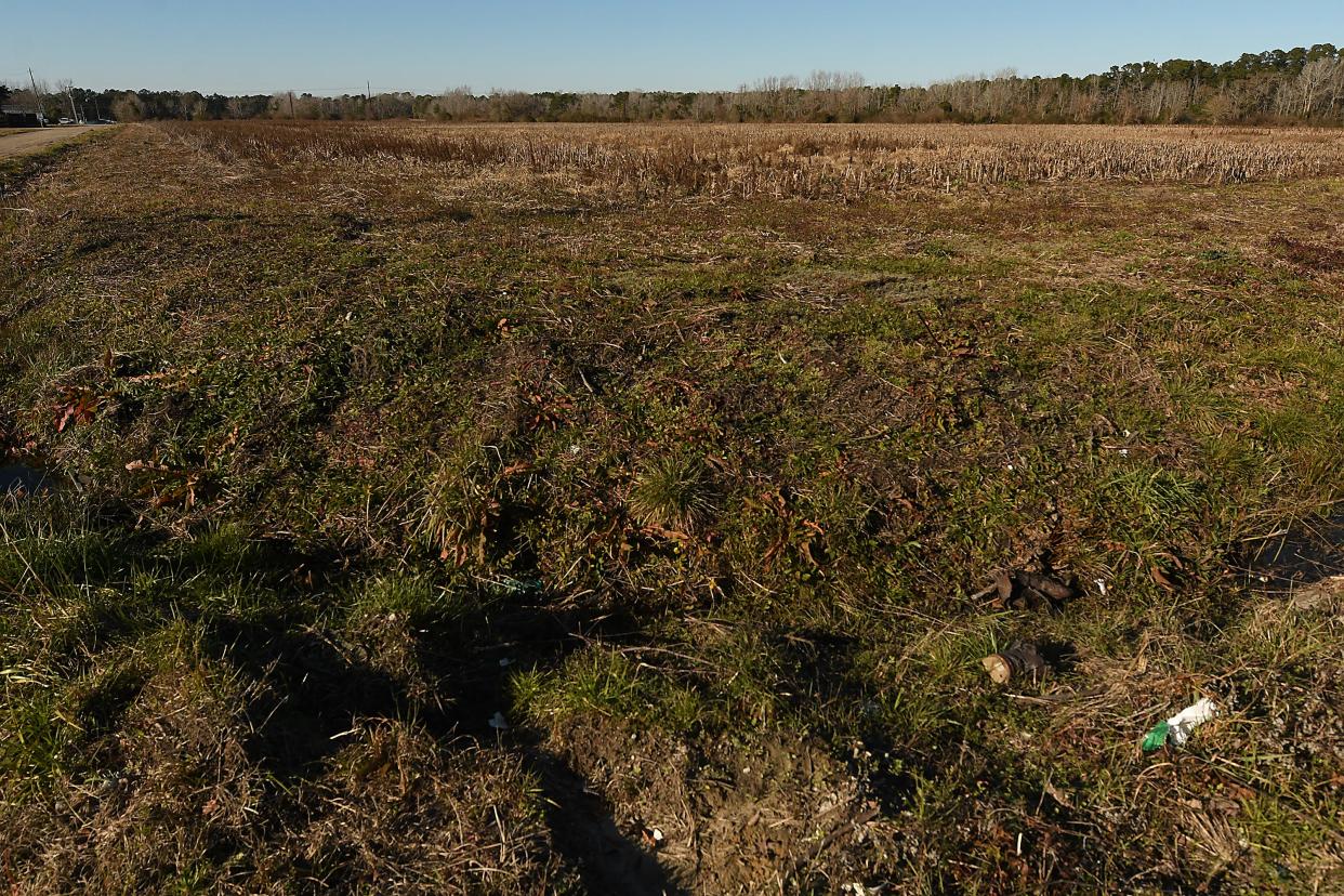 A StarNews file photo from 2022 shows the site of Blue Clay Road Business Park at 4101 Blue Clay Road.