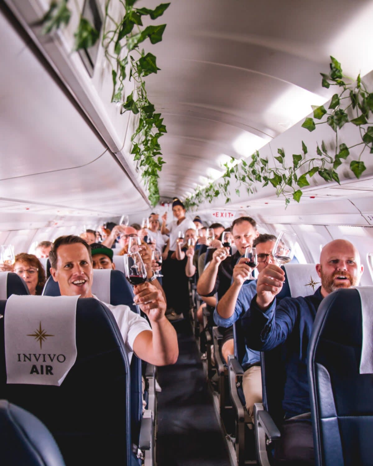 Passengers sipped wine onboard an aircraft complete with hanging vine decorations  (Invivo Air)