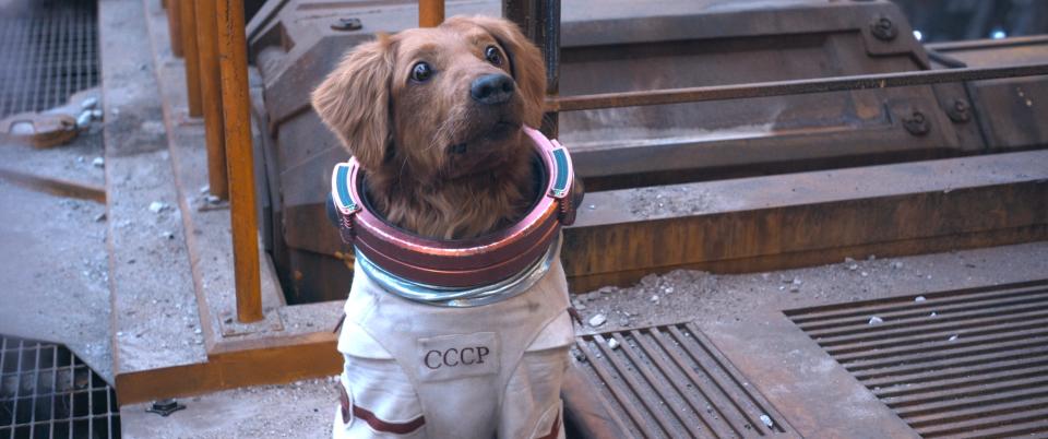 After debuting in the "Guardians of the Galaxy Holiday Special," Cosmo the spacedog (voiced by Maria Bakalova) is a core memeber of the team in an end-credit scene in "Guardians of the Galaxy Vol. 3."