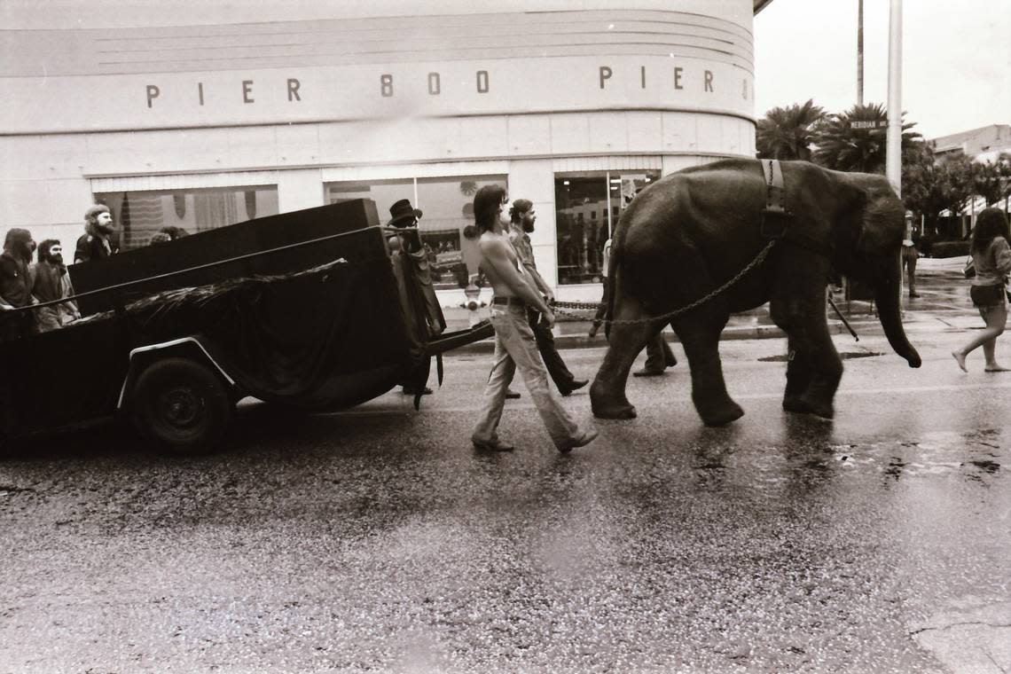 Protesters march with elephant down Meridian Avenue in Miami Beach in August 1972.