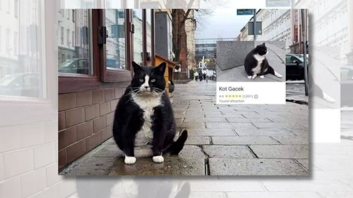 Facebook profile Cats With Jobs