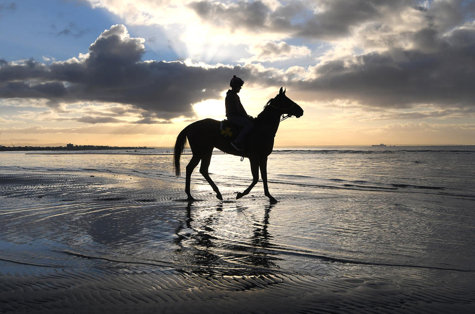 <p>Luvaluva who won yesterdays Wakeful stakes is seen having a recovery session at Altona Beach on November 5, 2017 in Altona North, Australia. (Photo by Vince Caligiuri/Getty Images) </p>