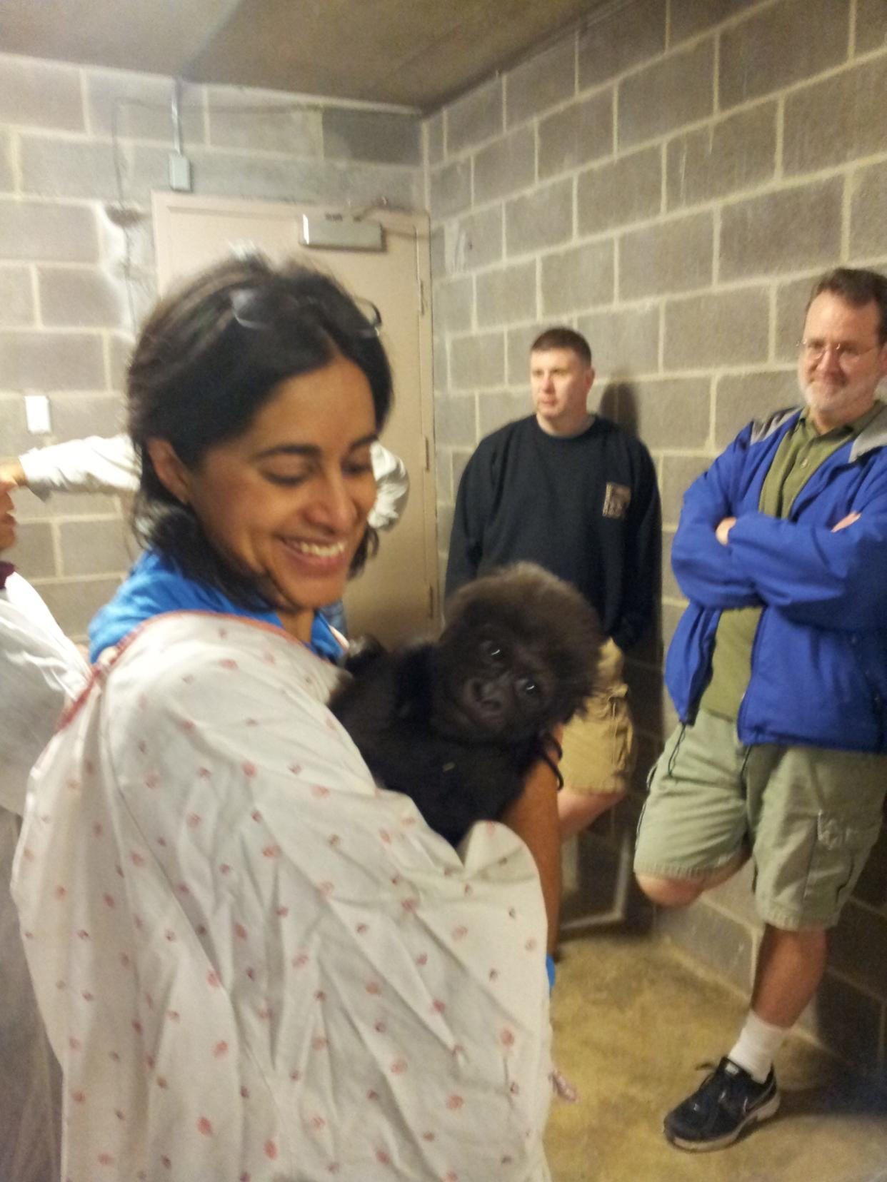 Dr. Meera Kotagal, a surgeon at Cincinnati Children’s, holds Gladys, a young lowland gorilla at the Cincinnati Zoo & Botanical Garden. Kotagal followed in her mom, Dr. Uma Kotagal, in pursuing a pediatric doctor path and helping with the zoo's gorillas.