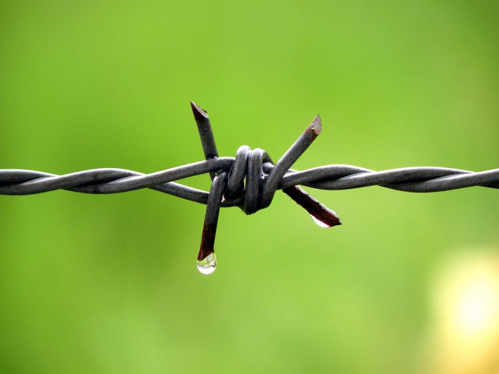 barbed wire drop water keep out