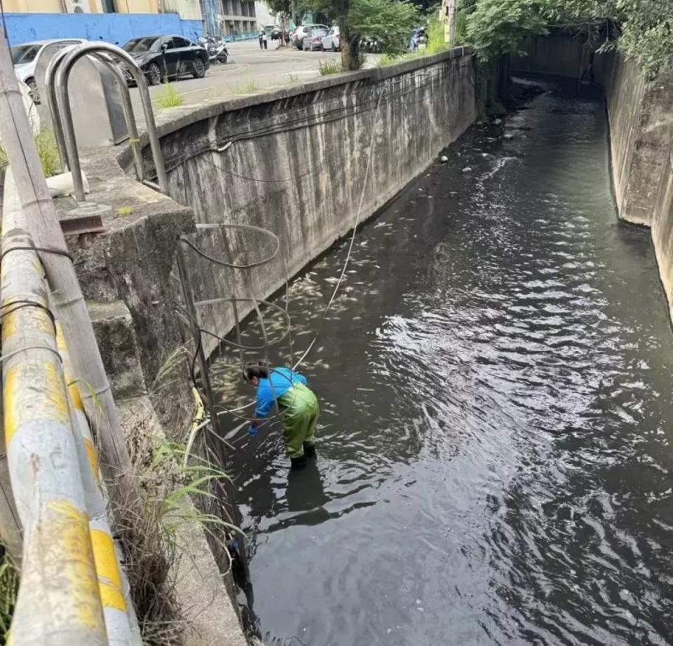 新豐茄苳溪遭嚴重污染，鄉公所立即派清潔隊員打撈魚屍。（圖：環保局提供）