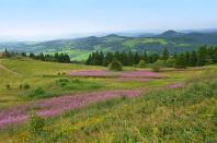 Die Rhön wird oft als Exempel für gelungene nachhaltige Landschaftsentwicklung genannt. Außergewöhnlich hoch ist die Identifikation der Bevölkerung mit ihrer Region, die durch regionale Wertschöpfung sowie eigene Produkte wie Rhönschaf, -forelle oder -apfel geprägt ist. (Bild: iStock/Fotofreak75)