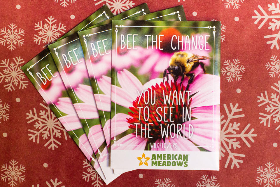 BEE THE CHANGE SEED PACKETS