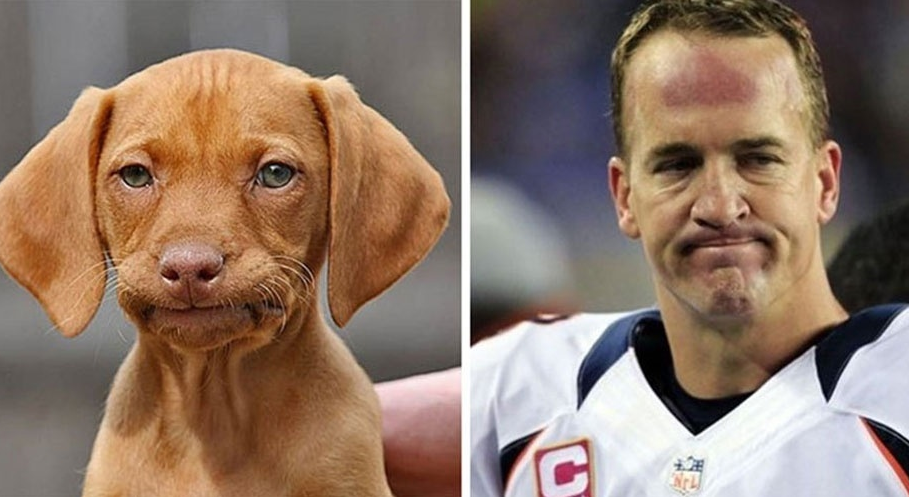 Peyton Manning (Reprodução/themindcircle)