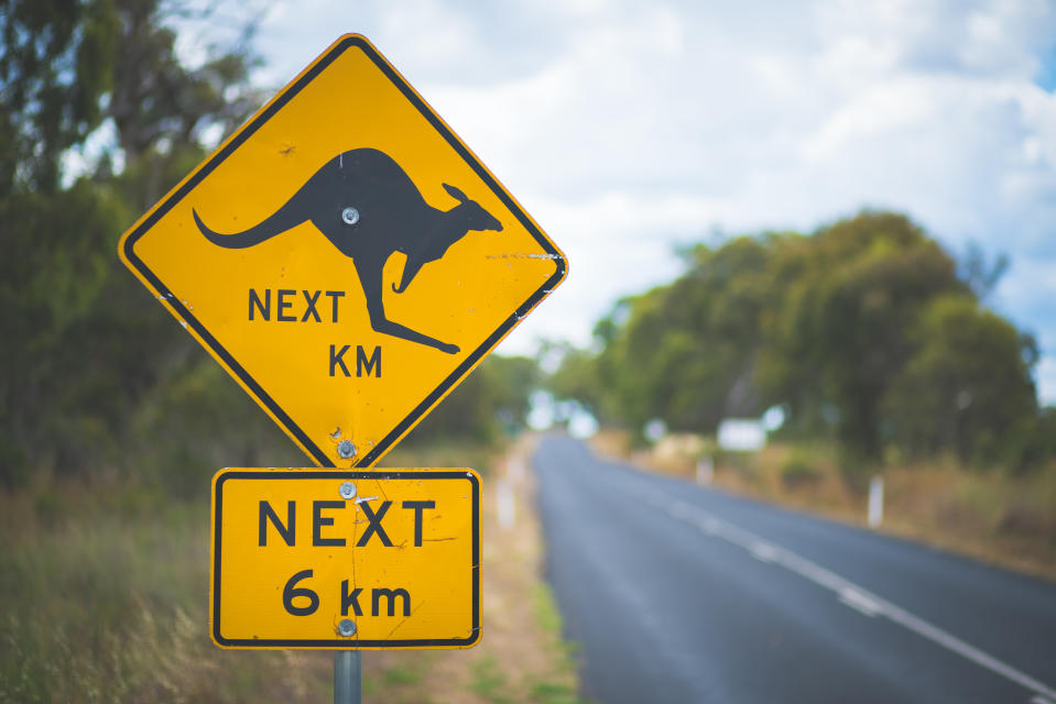 A kangaroo road sign on an Australian rural road.