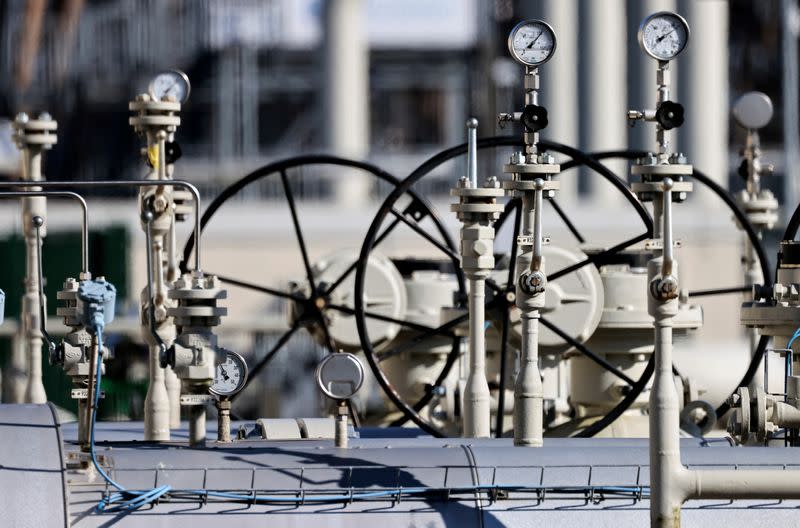 FILE PHOTO: Pipes at the landfall facilities of the 'Nord Stream 1' gas pipline in Lubmin