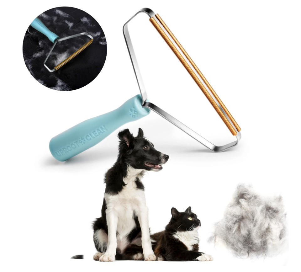 the comb next to a dog and a cat