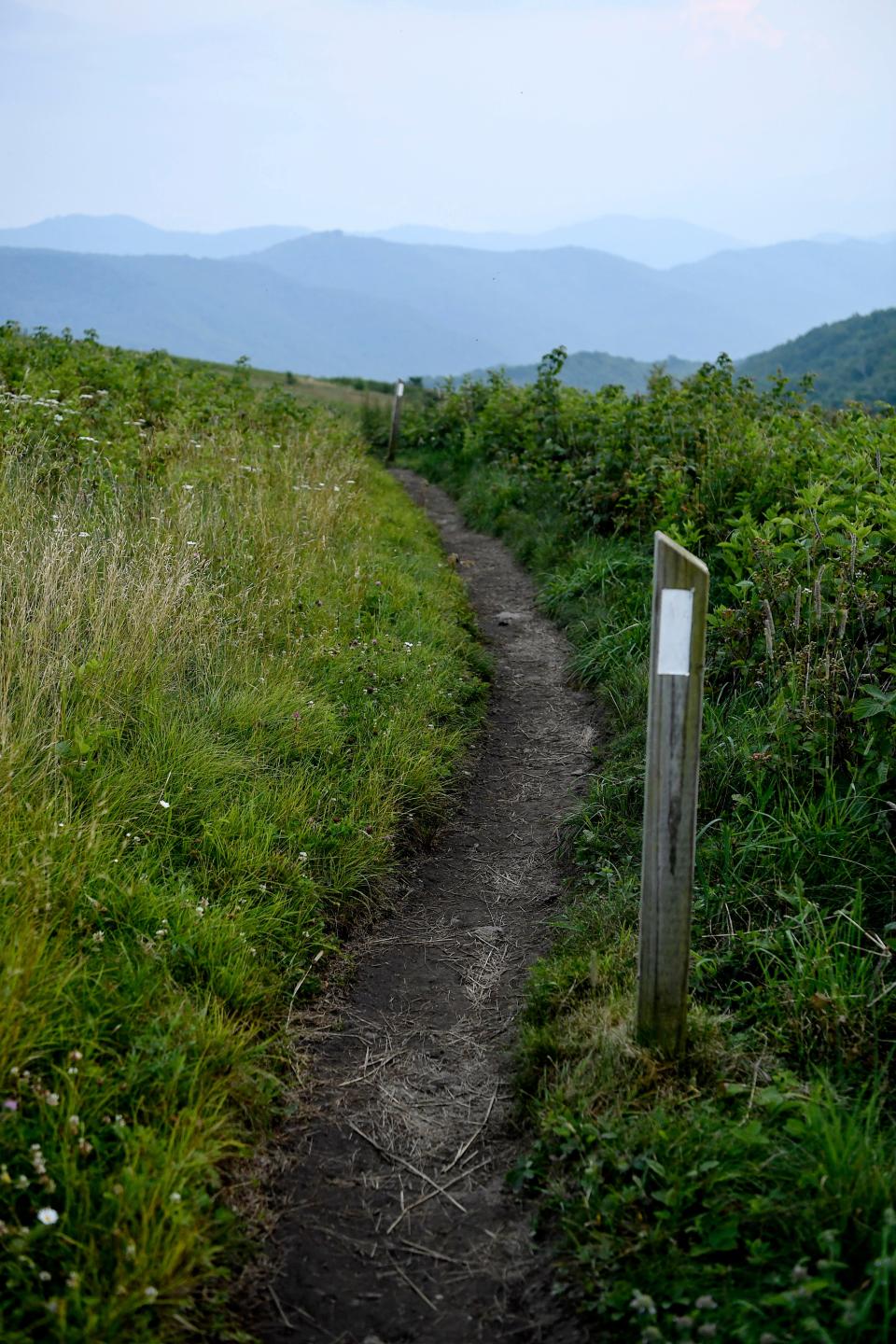 Scenes from Max Patch July 23, 2021. On July 1, the Forest Service announced the two-year ban on camping, fires and more at the grassy bald offering panoramic mountain views, instituting $80-$130 fines for anyone violating the order.