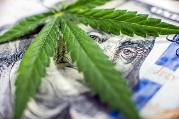 A cannabis leaf lying atop a hundred dollar bill, with Ben Franklin's eyes showing between the leaves.